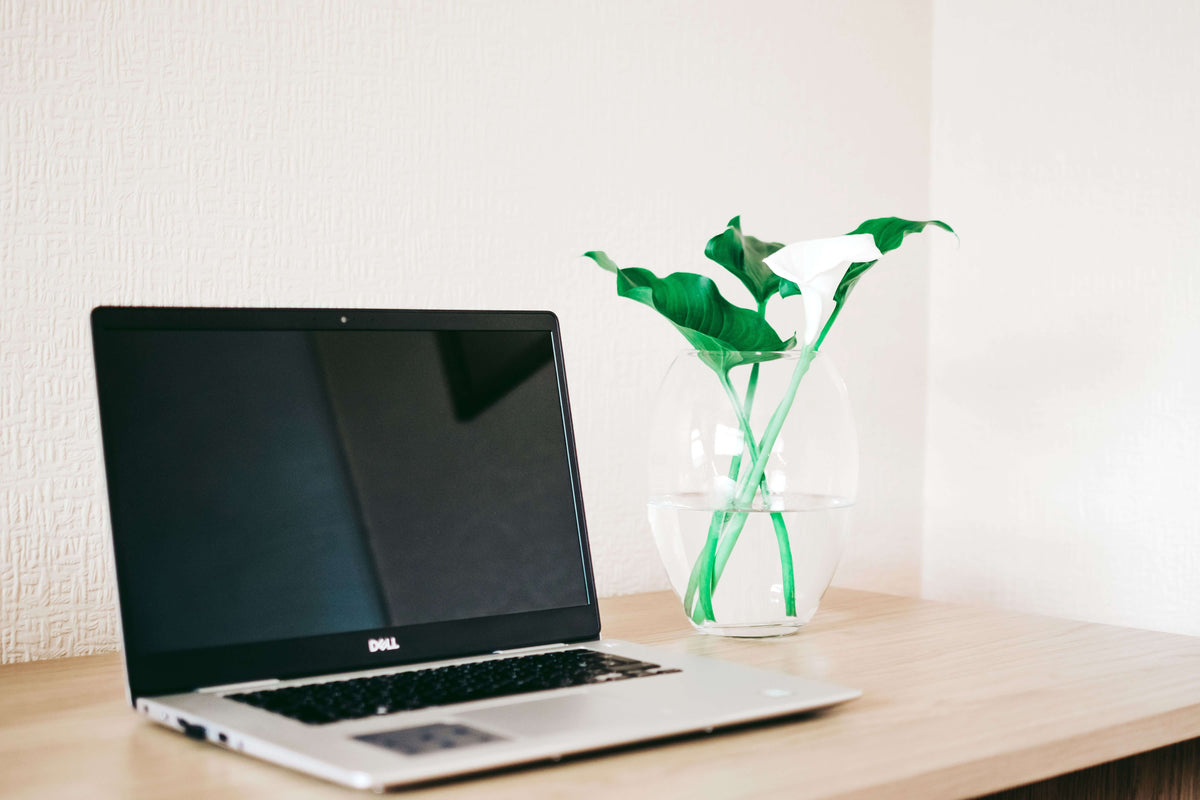 A silver Dell laptop sits on a light wooden desk next to a clear glass vase containing green leaves and a single white calla lily against a wall.