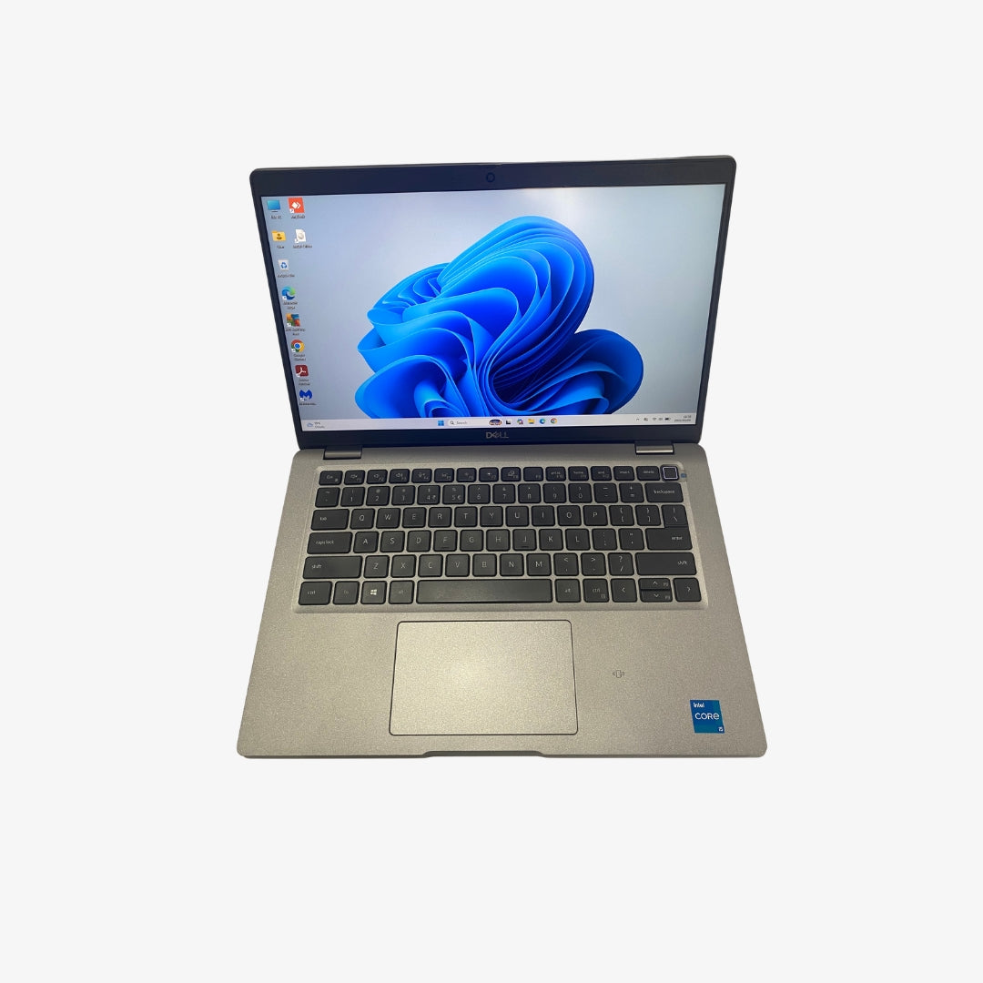 Dell Latitude 5420 (365)